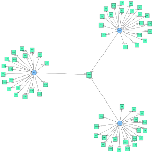 Visualization of three 20-node subnetworks attached to a single central router